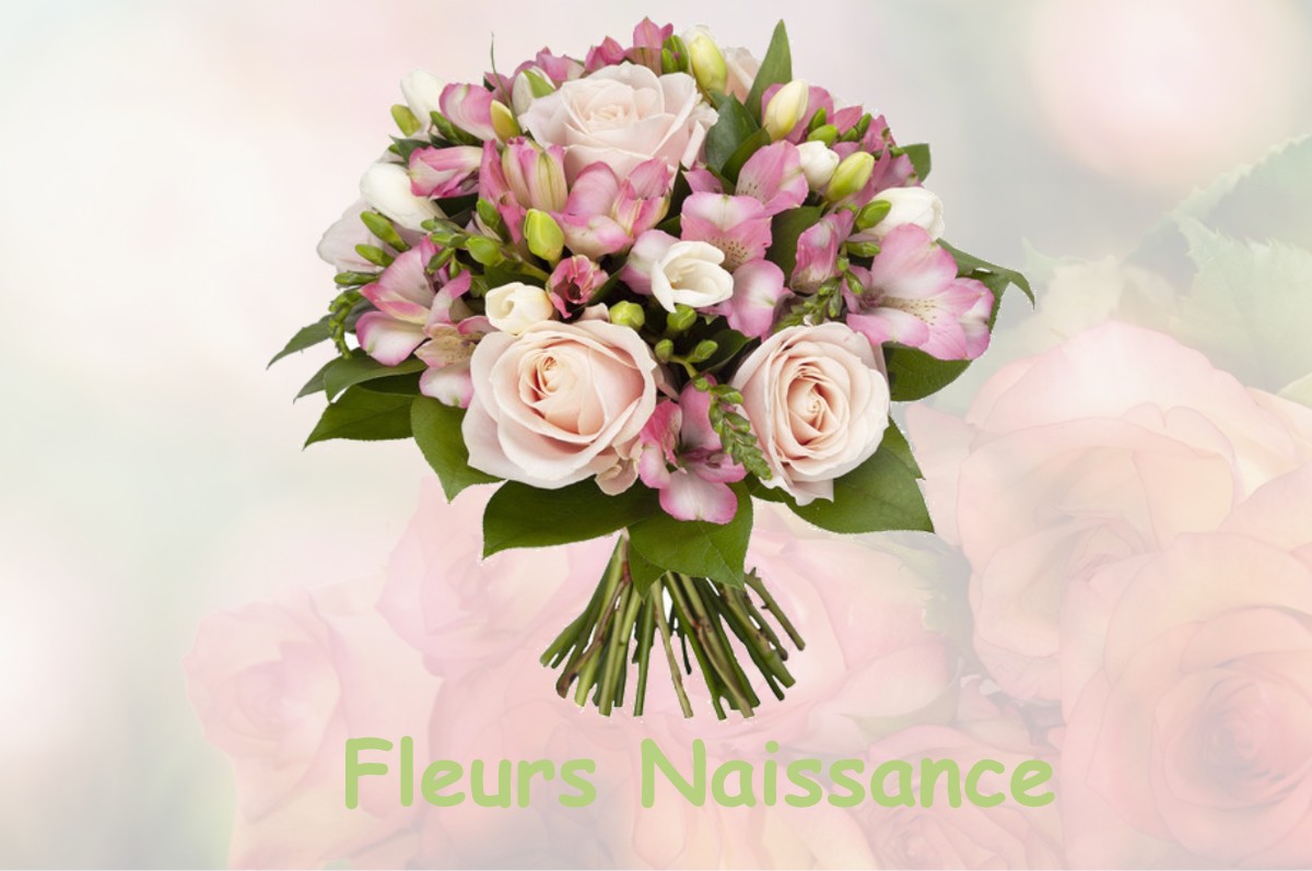 fleurs naissance SAINT-AUBIN-LE-GUICHARD